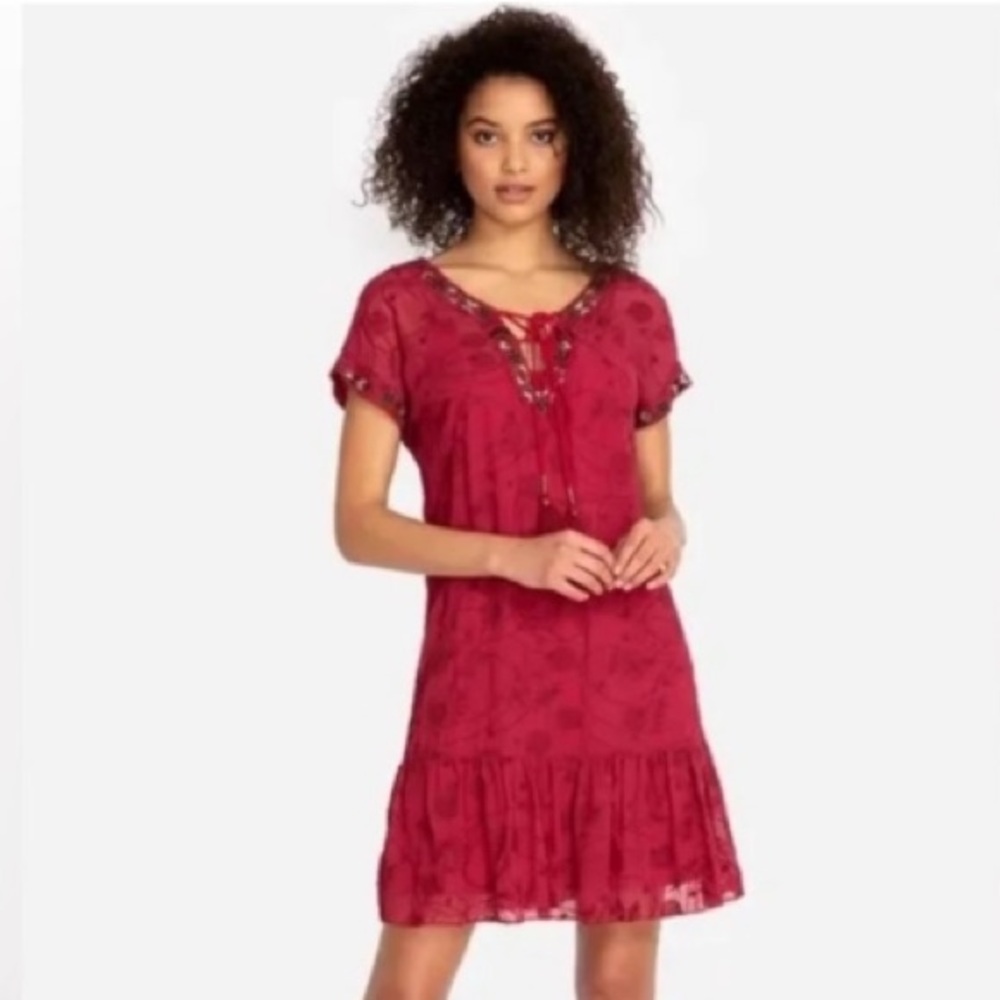 JOHNNY WAS🌻 JADE Sheer Embroidered Lace Up Mini Dress
